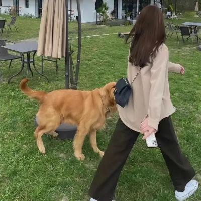 娜娜